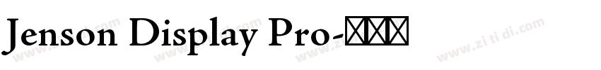 Jenson Display Pro字体转换